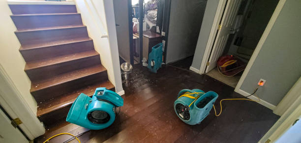 Best Local water damage restoration  in Boiling Springs, NC