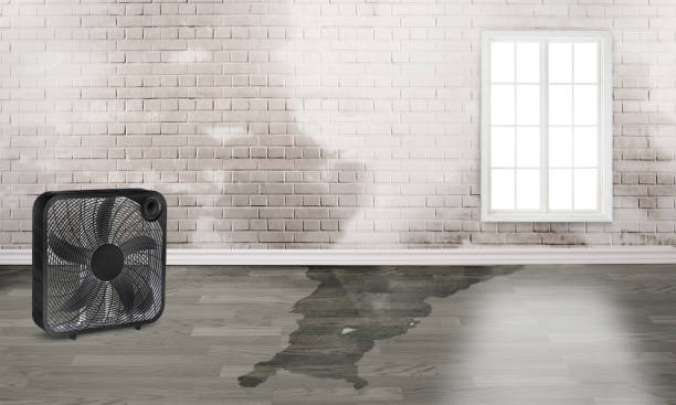 Best Water damage restoration near me  in Boiling Springs, NC