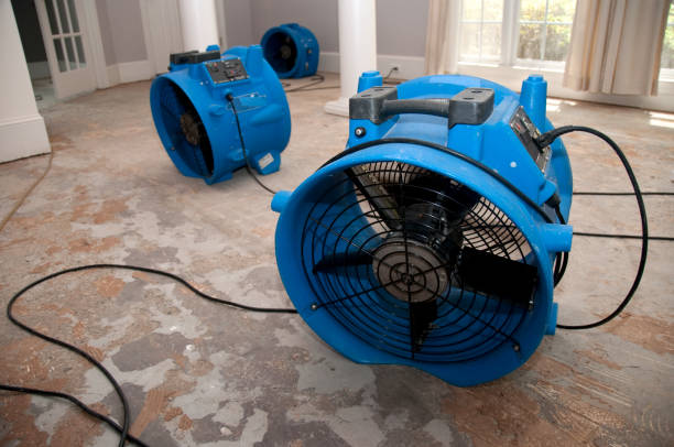 Best 24/7 water damage repair  in Boiling Springs, NC