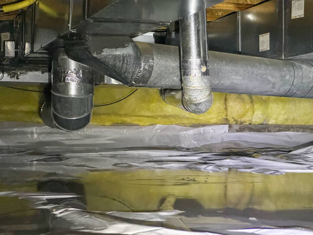 Best Flood damage cleanup  in Boiling Springs, NC